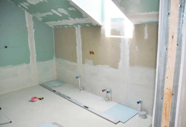 Best Attic Mold Removal  in Granite Quarry, NC