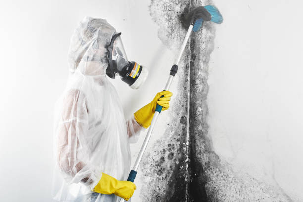 Best Mold Prevention Services  in Granite Quarry, NC