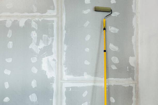 Best Dehumidification Services  in Granite Quarry, NC