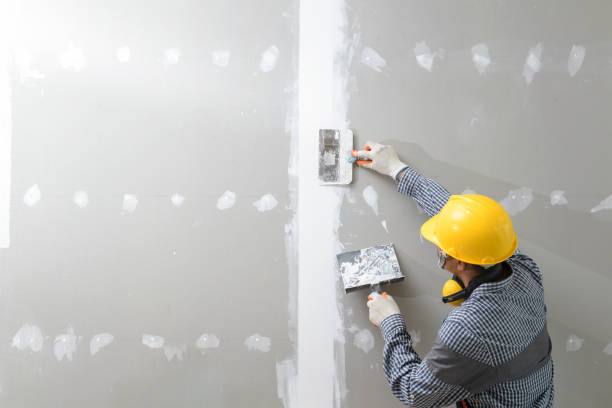 Best Real Estate Mold Inspection  in Granite Quarry, NC