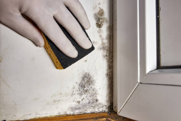 Best Post-Remediation Verification Testing  in Granite Quarry, NC